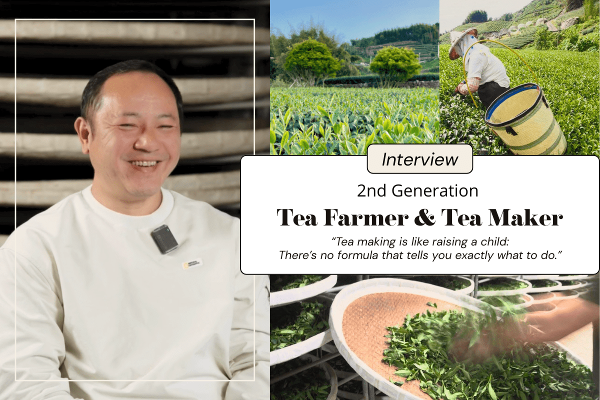 Wei-Xiang Ye (葉偉翔) tea culture and production interview feature image